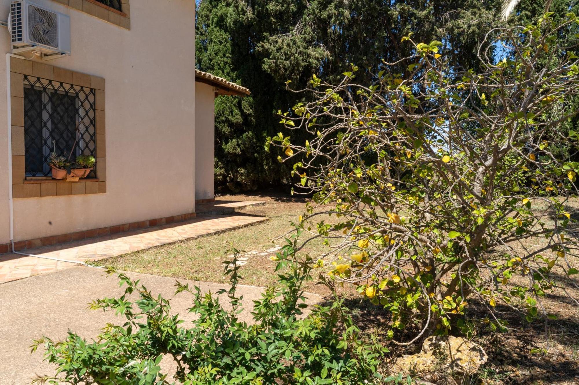 Casa Vacanze Verdemare Con Piscina Ribera Exteriör bild